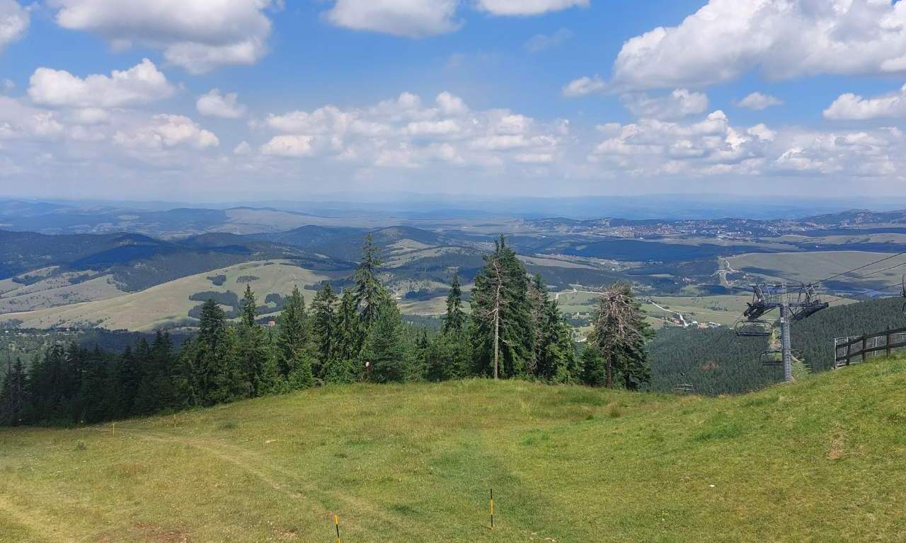 Borove šume u jutarnjoj magli - Divčibare